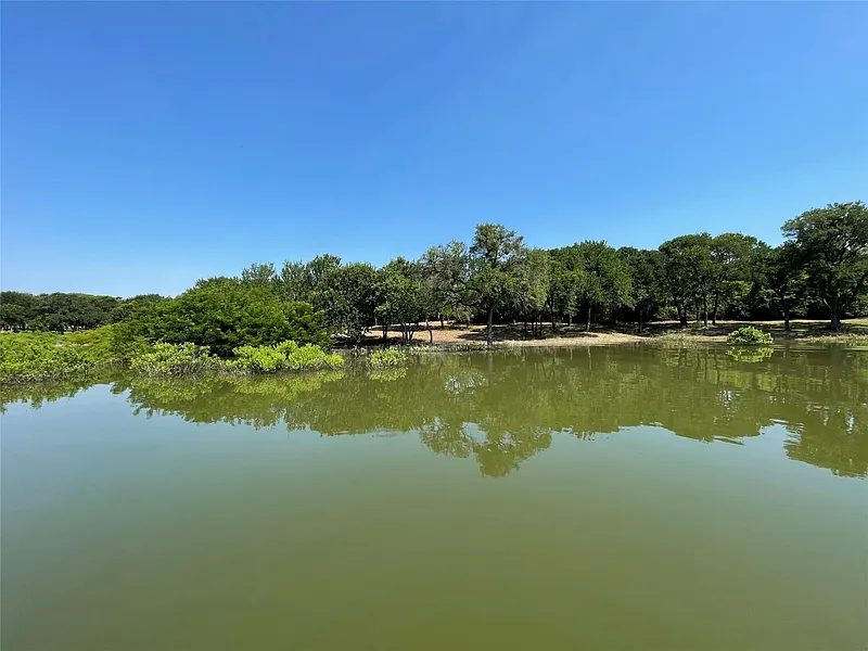 Calm water and trees along the shore at Northshore
